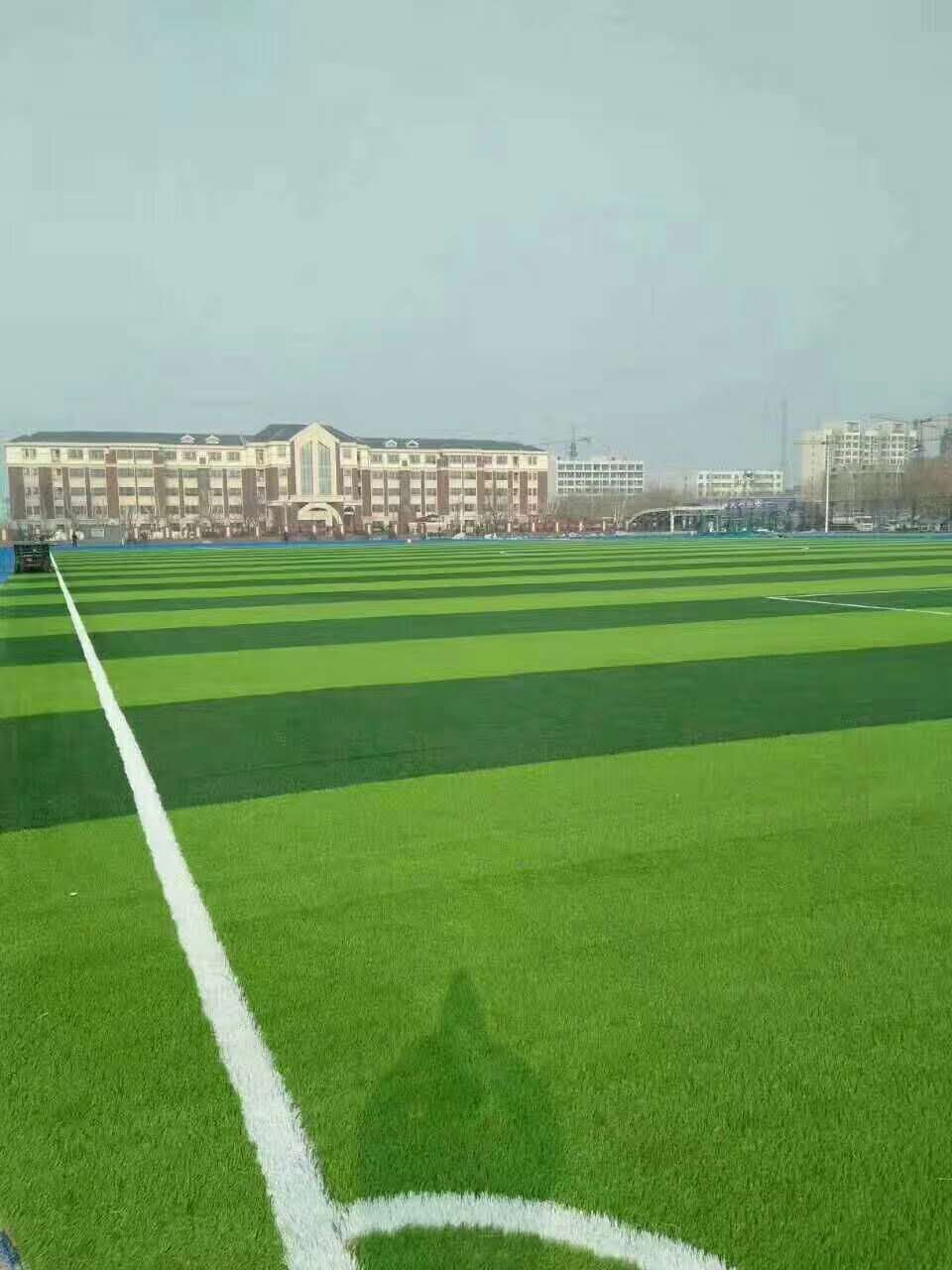湖州市幼儿园塑胶跑道仿真草坪 - 推荐